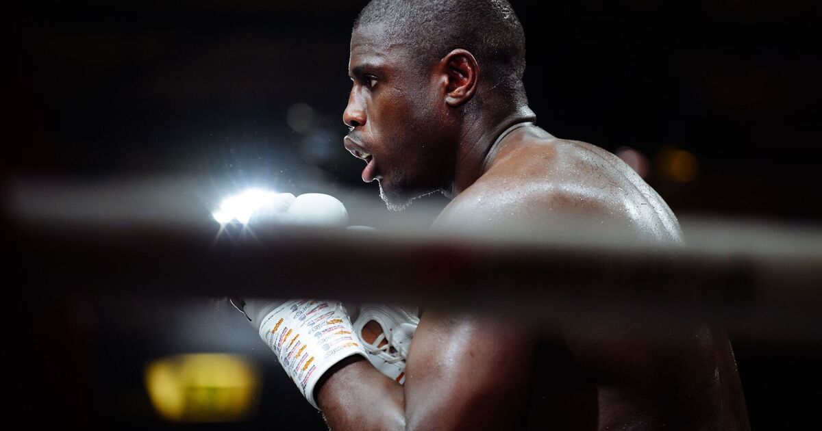 Hamburger Boxer Peter Kadiru Seeks Upset in WBA Title Fight Against Murat Gassiev