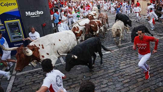 Fiesta San-Fermin in Pamplona Fiesta San-Fermin in Pamplona