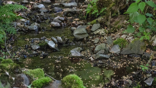 Aus Bächen, Gräben, Flüssen, Teichen und Seen im Rhein-Lahn-Kreis darf bis auf Weiteres kein Wasser mehr entnommen werden. (Symb