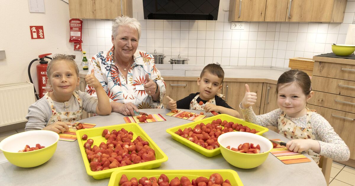 A woman from Hachenburg looks back: How the work of a childcare worker has ...