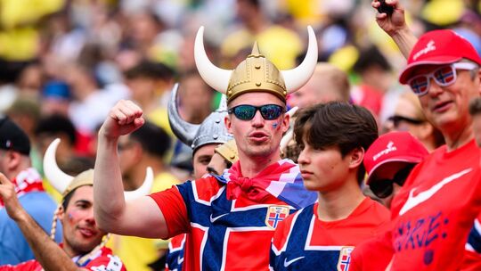 Fans bei der WM