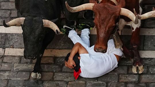 Fiesta San-Fermin in Pamplona Fiesta San-Fermin in Pamplona