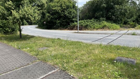 Mit seiner Klage wollte die EVG die Sperrung und Beseitigung der Querung der Bahntrasse mit der Brauereistraße erreichen.
