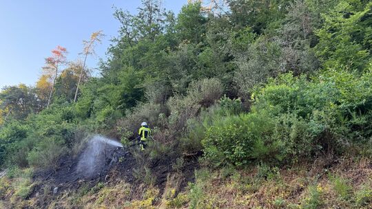 Erneuter Brand bei Berglangenbach. Dieses Mal gab es sogar zwei Brandherde.