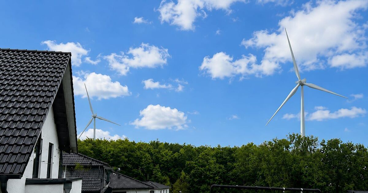 Wind turbines on the Dachsberg: Citizens raise money for a lawsuit against ...