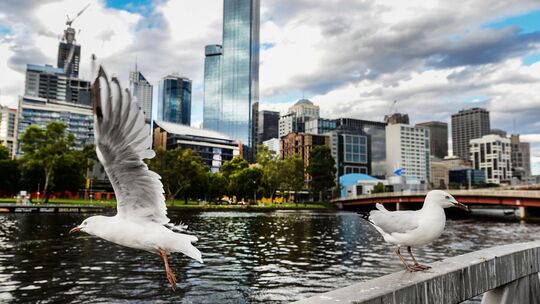 Melbourne