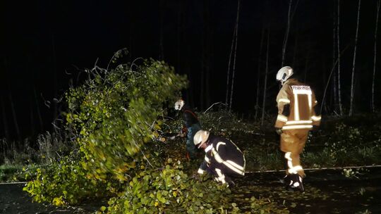 Nach Unwettern oder Stürmen müssen Autofahrer mit umgestürzen Bäumen rechnen. Was sich aber am Dienstag auf der B9 bei Remagen a