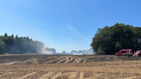 Wald- / und Flächenbrand Dommershausen