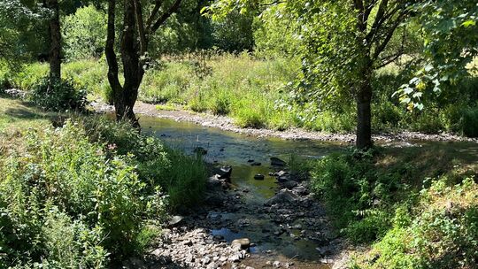 Erheblich sanken die Wasserstände zum Beispiel in Kronweiler, wo der Schwollbach in die Nahe mündet.
