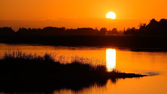 Sonnenaufgang am Fluss Oder Sonnenaufgang am Fluss Oder