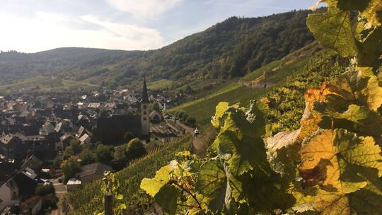 Bremm an der Mosel. Unser Foto entstand auf dem Calmont-Klettersteig bei Bremm im Oktober 2018. Bremm an der Mosel. Unser Foto entstand auf dem Calmont-Klettersteig bei Bremm im Oktober 2018.