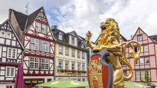 Der goldene Löwe (Archivfoto) wacht vom Brunnen aus über den Alten Markt in Hachenburg. Mit dem Kauf verschiedener Begrünungs-,