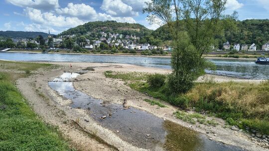 Viel Wasser gelangt an der Ahrmündung aktuell nicht mehr in den Rhein. Kaum vorstellbar ist bei so einem Bild das Ausmaß der Flu