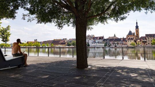 Ein Mann sitzt am Ufer des Mains unter einem Baum im Schatten