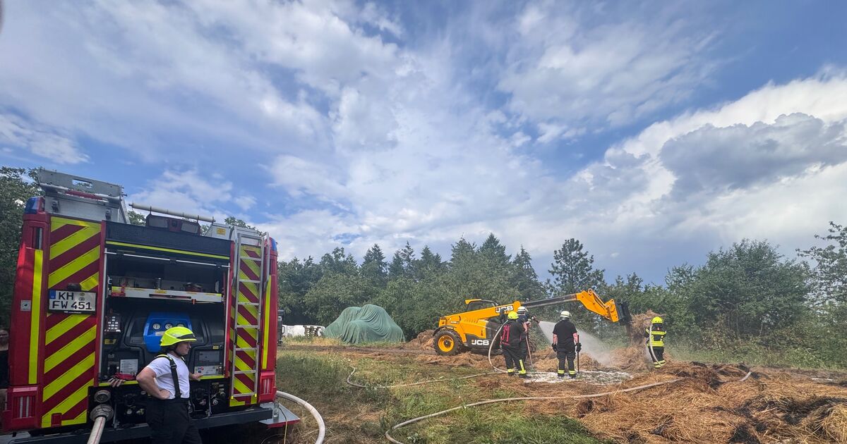 Fire near Oberstreit: Wildfires and thunderstorms in the Rüdesheim ...