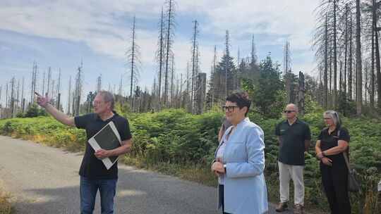 Von Nationalparkleiter Harald Egidi erfährt Ministerin Christine Schneider, dass Totholz und abgestorbene Fichten die Grundlage