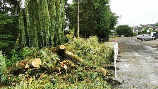Folgen des Gewitters: In Kirchberg und einigen Nachbarorten musste die Feuerwehr wegen umgestürzter Bäume ausrücken.