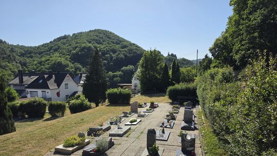 Lediglich die Waschbetonplatten, die teilweise etwas uneben liegen und das Unkraut immer wieder durch die Fugen wächst sind für