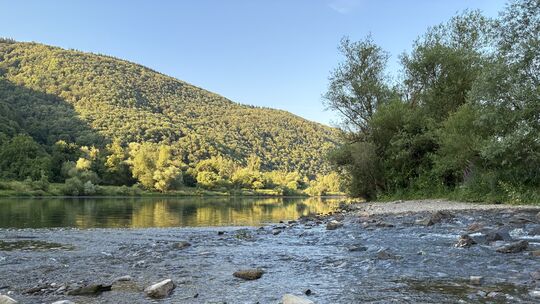 Viel Wasser ist es nicht mehr, das an der Mündung des Elzbach bei Moselkern ankommt. Hitze und Trockenheit haben zugeschlagen. N