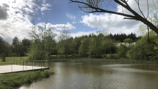 Der Kurpark-Teich in „guten Zeiten“, als noch keine Hitzewelle drohte. Der Kurpark-Teich in „guten Zeiten“, als noch keine Hitzewelle drohte.