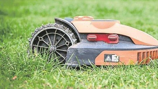Igel rollen sich bei Gefahr zusammen. Gegen die Klingen eines Mähroboters schützt sie dieses Verhalten nicht immer.