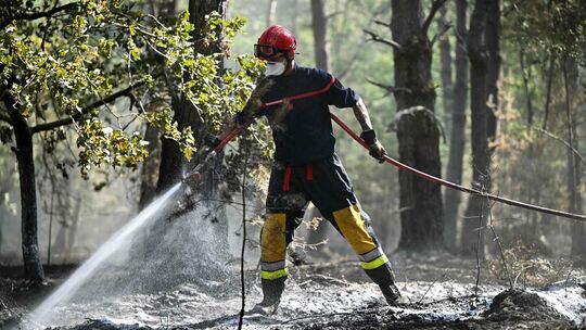 Waldbrand bei Paris Waldbrand bei Paris