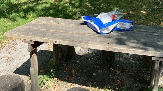 Nach der Mahlzeit nicht abgeräumt. Da freuen sich Ratten und Waschbären über die Reste.
