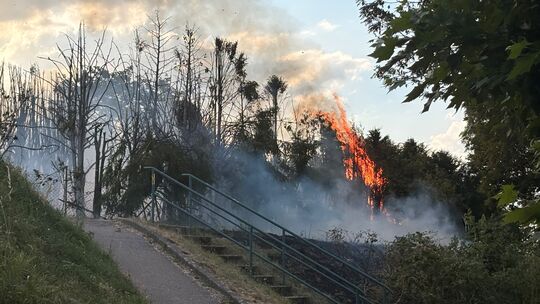 Immer wieder schlugen die Flammen in der Nähe der Rheintalstraße in Bad Breisig am Mittwochabend gen Himmel. Immer wieder schlugen die Flammen in der Nähe der Rheintalstraße in Bad Breisig am Mittwochabend gen Himmel.