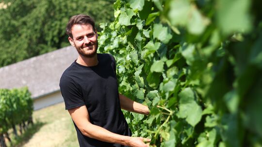 Benjamin Schott vom gleichnamigen Weingut in Wallhausen an den Weißburgunderreben im „Backöfchen“: Den Weinbau muss der 40-Jähri Benjamin Schott vom gleichnamigen Weingut in Wallhausen an den Weißburgunderreben im „Backöfchen“: Den Weinbau muss der 40-Jähri