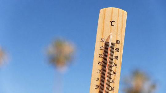 Wie Hitze Sommer zur Normalität wird
