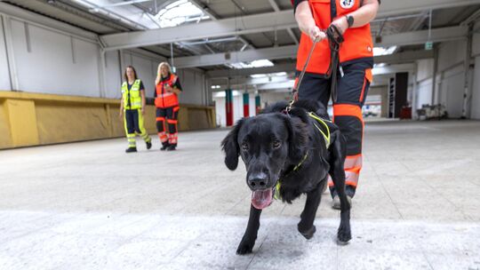 Im Einsatz kennt der Hund die Gegebenheiten vorher nicht. Deshalb ist es unerlässlich, regelmäßig an wechselnden Orten zu traini