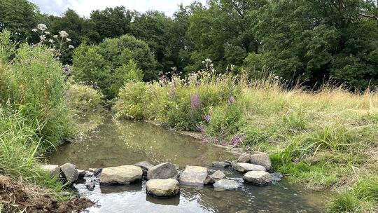 Auch der Wasserstand des Driescheider Bachs bei Helmenzen ist gesunken.