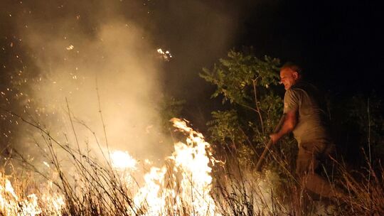 Waldbrand auf Sizilien