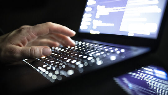 Im Mai sabotierten unbekannte Hacker die Internetseiten der Landeszentrale für politische Bildung Rheinland-Pfalz und der beiden