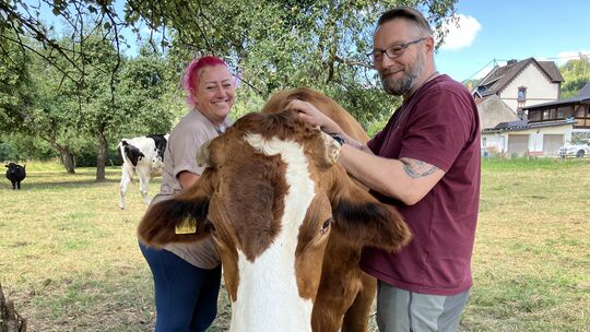 Rind „Bulli“ wird mit seinen Gefährten, Hunden, Gänsen und Hühnern liebevoll auf dem Lebenshof Elsa in Hövels von Dajana Hanne u