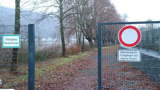 Offen oder geschlossen? Die Stadtverwaltung möchte am Betriebsweg Rheinquartier alles so belassen, wie es ist.
