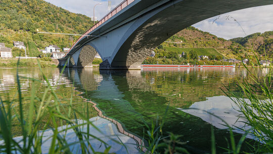 Blaualgen auf der Mosel: Das Phänomen gibt es hier noch gar nicht so lange. 2017 traten sie zum ersten Mal auf. Der Klimawandel