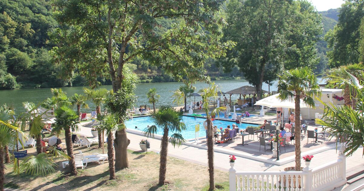 Moselwunder Campsite: A Palm Paradise on the Moselle in Pomerania