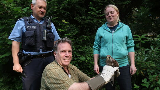Freuen sich, dass der von der Hitze geschwächte Turmfalke wieder freigelassen werden kann, von links: Polizeihauptkommissar Ulri