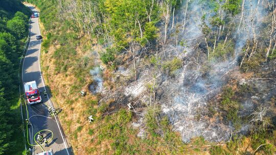 Die Drohnenaufnahme zeigt das Ausmaß des Waldbrandes: Rund 650 Quadratmeter Wald- und Buschfläche wurden ein Raub der Flammen.