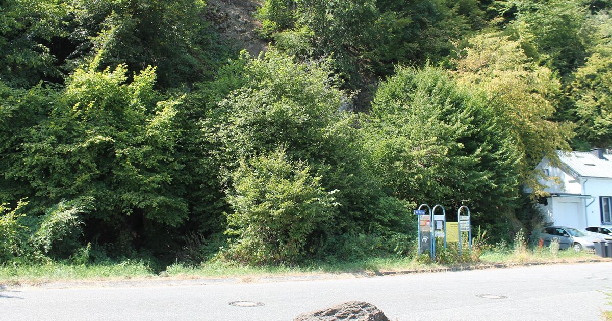 53-Year-Old Man Found Dead: Body Discovered in Bushes Near Nievern