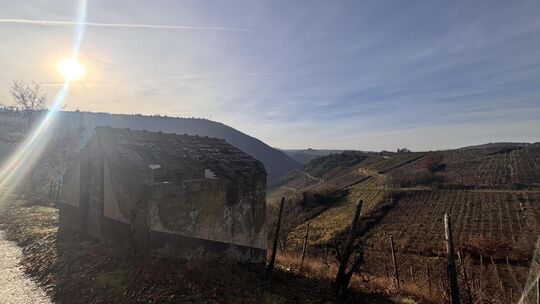 Der Ausblick vom runzligen Wingertshäuschen in der Niederhäuser Klamm ist herrlich – bis hinüber zum Lemberg.