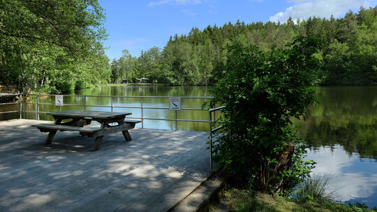 Infolge der aktuellen Witterung machen sich im Argenthaler Waldsee vermehrt Blaualgen breit. Infolge der aktuellen Witterung machen sich im Argenthaler Waldsee vermehrt Blaualgen breit.