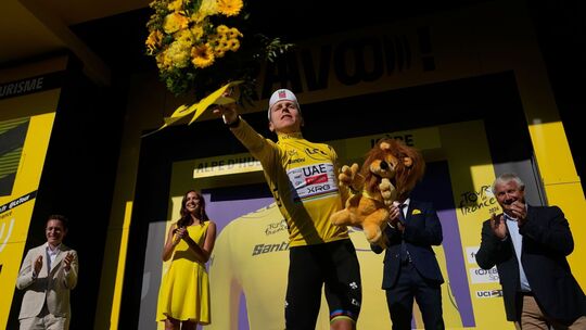 Tour de France – 19.Etappe Tour de France – 19.Etappe