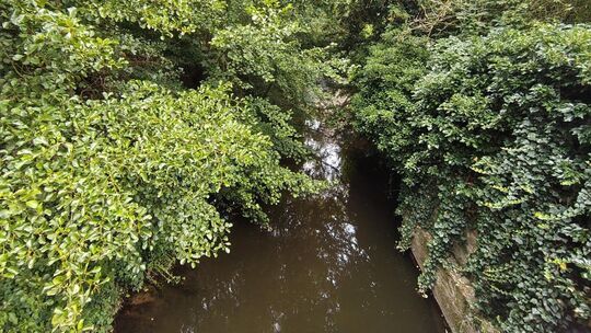 Der Ellerbach ist eher klein verglichen mit der Nahe oder dem Mühlenteich, aber natürlich gehört er zu Bad Kreuznach dazu.