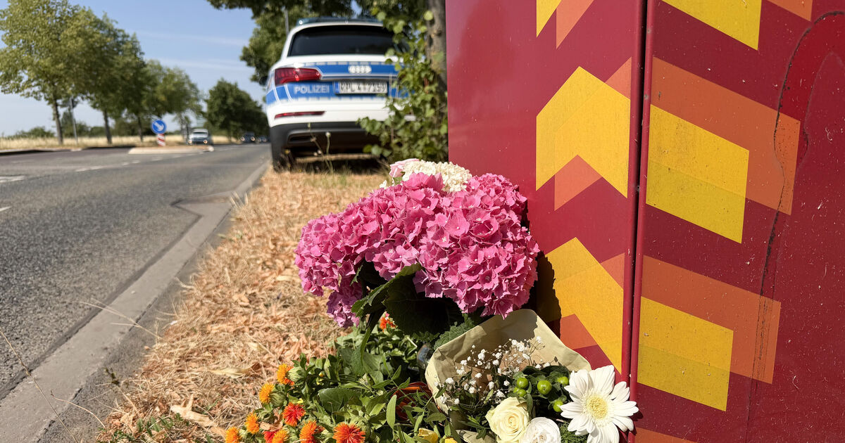 Reporting of Mentally Ill Individuals: After the Attack in Trier—Is a New ...