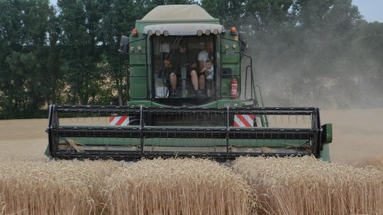 Während die Ernte-Giganten in Rheinhessen und im Nahetal den Großteil der Getreidefelder abgeerntet haben, läuft in den Höhenlag