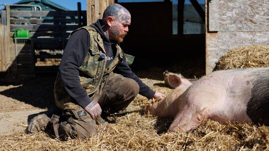 Seit 2019 betreibt Markus Gärtner den Tierlebenshof „Ein bisschen Wärme“ in Kirchberg. Schwein Uwe war einer seiner liebsten Vie