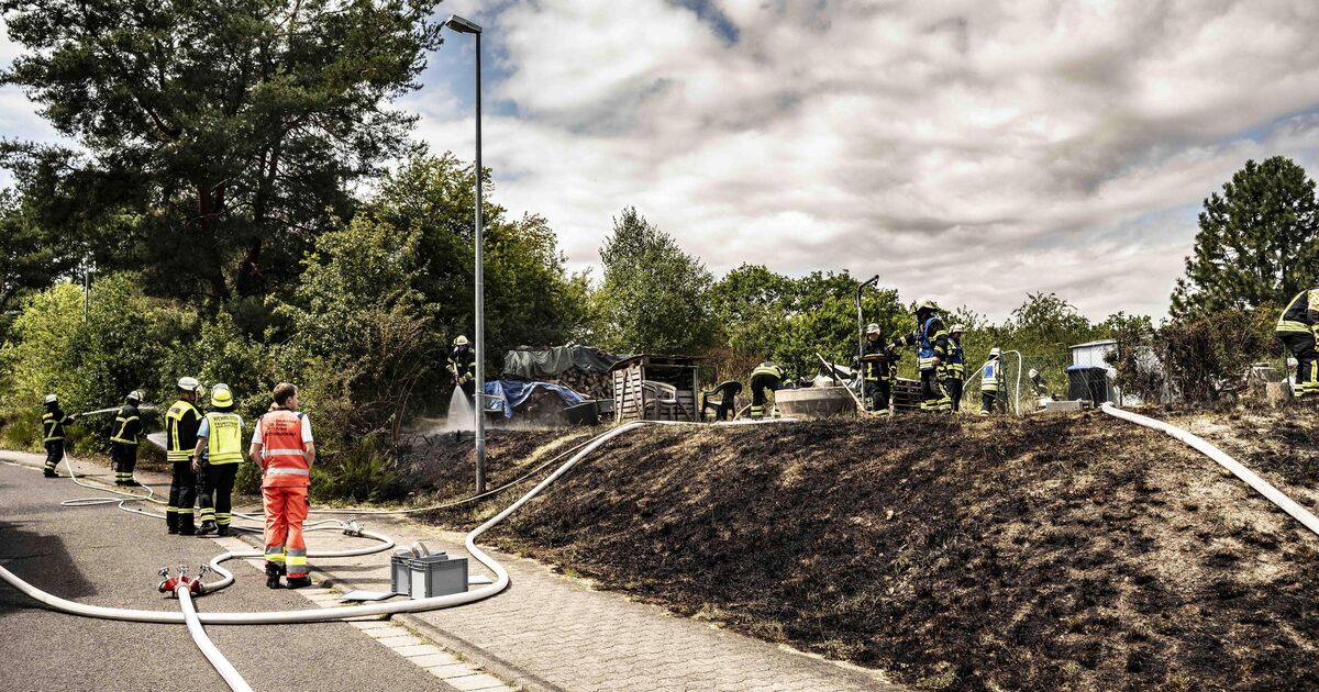 Kein Gebäude betroffen: Feuerwehr löscht Vegetationsbrand in ...