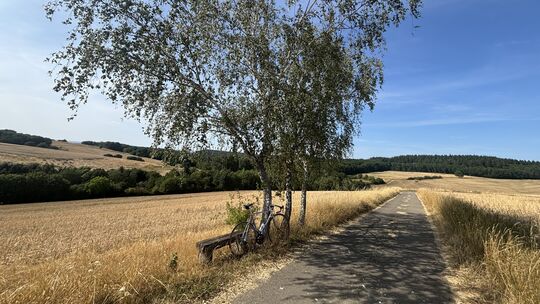 Pflicht-Pause mit wunderschöner Aussicht an den Birken mit ihrem Bänkchen oben bei Lettweiler